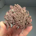 Copper - image 2
