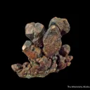 Copper - image 3