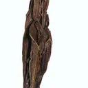 Copper - image 1