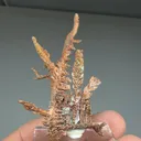 Copper - image 2