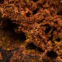 Copper - image 2