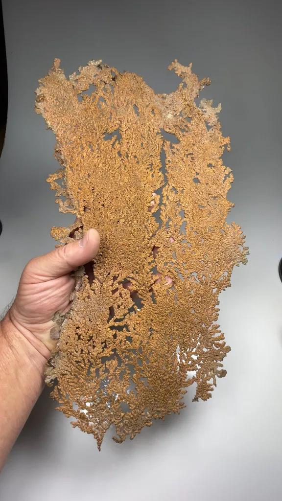 Copper - image 2