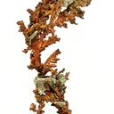 Copper - image 1