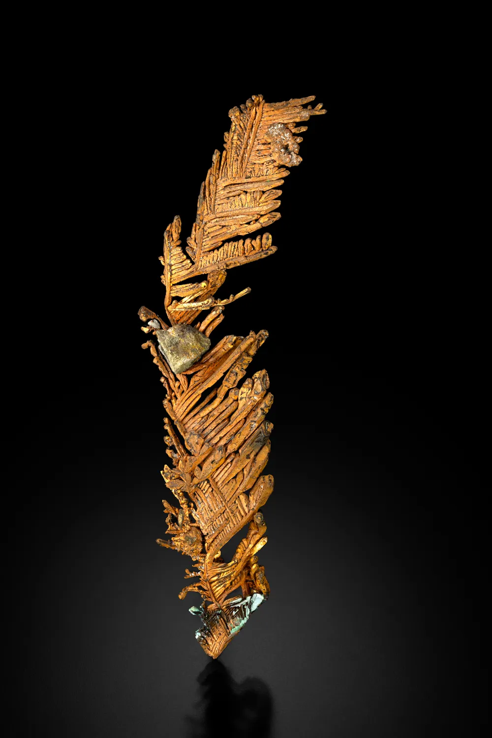 Copper - image 4
