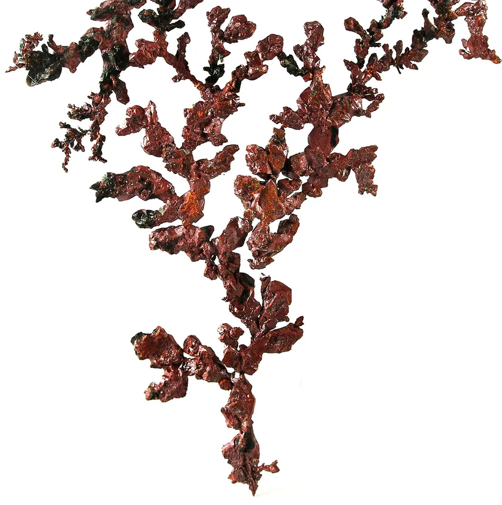 Copper - image 3