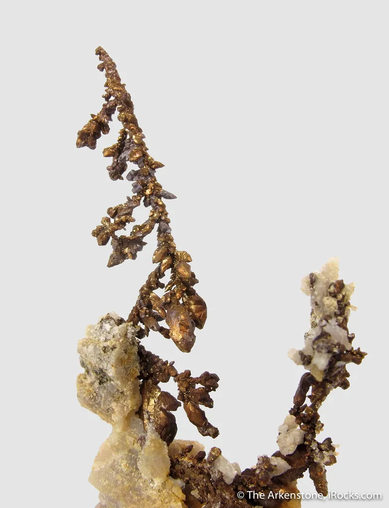 Copper - image 3