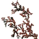 Copper - image 4