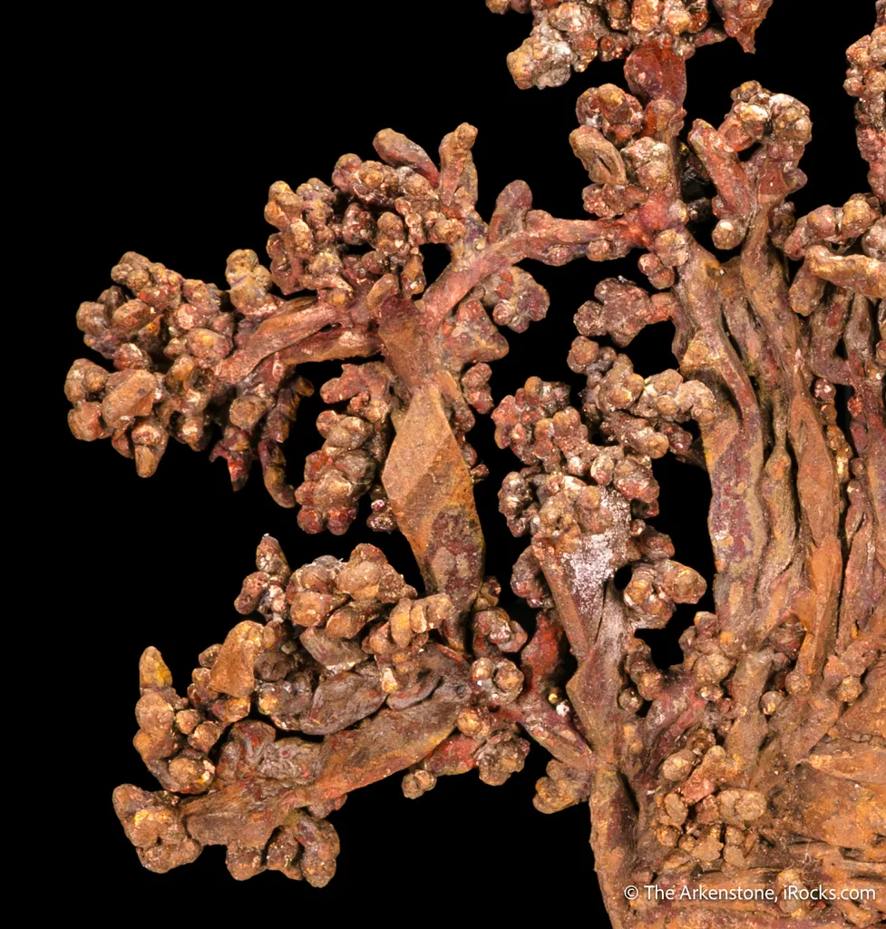 Copper - image 6