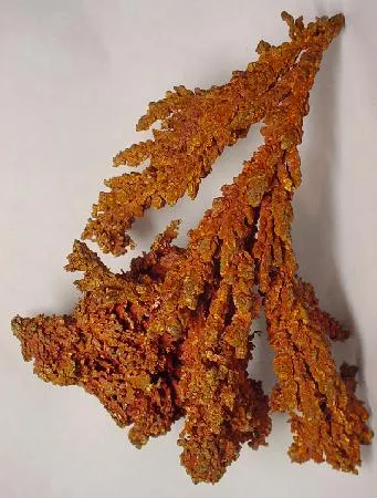 Copper image