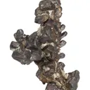 Copper - image 3