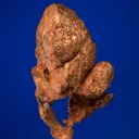 Copper - image 1
