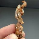 Copper (ex J.T. Reeder) - image 2