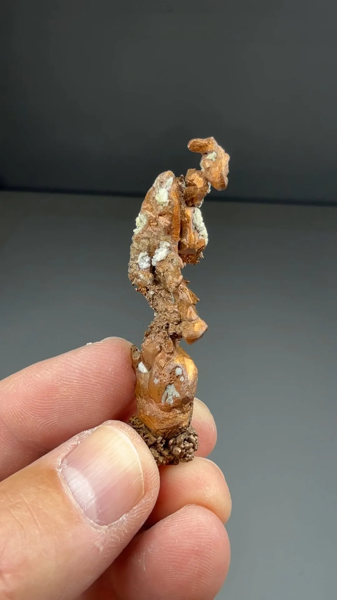 Copper (ex J.T. Reeder) - image 2