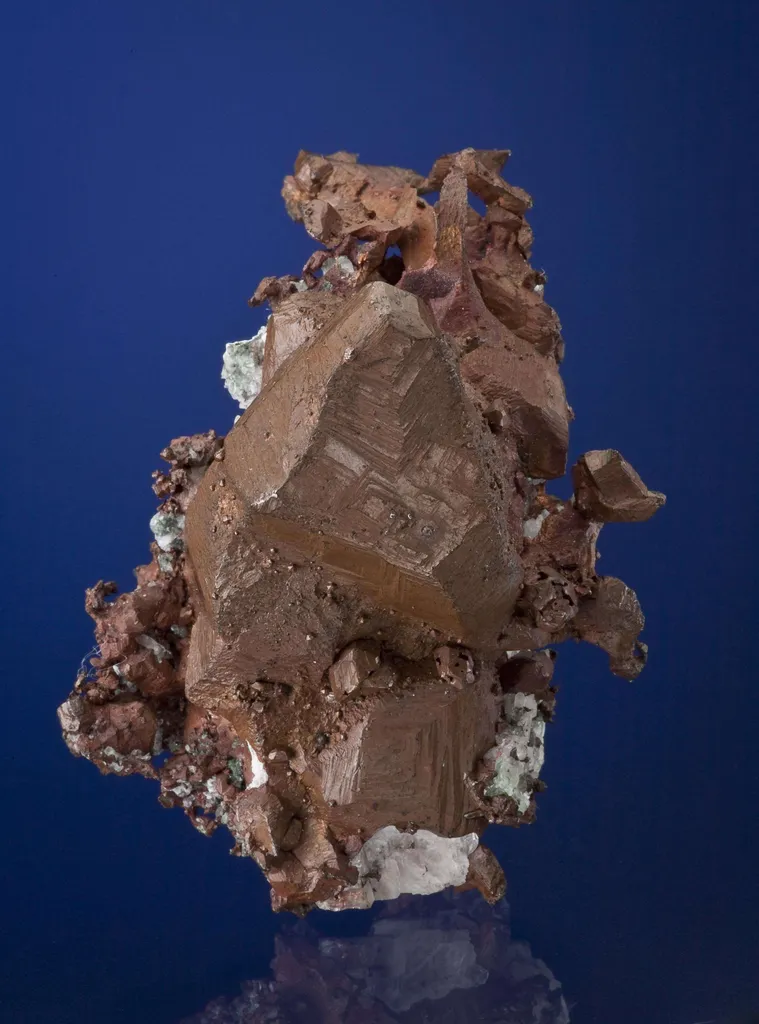 Copper (Ex. Pellman and David Collections) image