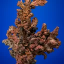 Copper - image 1