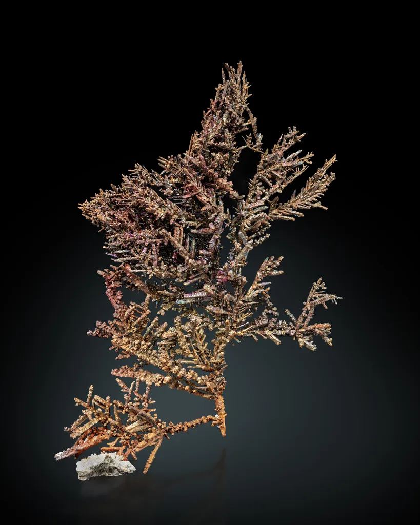 Copper - image 5