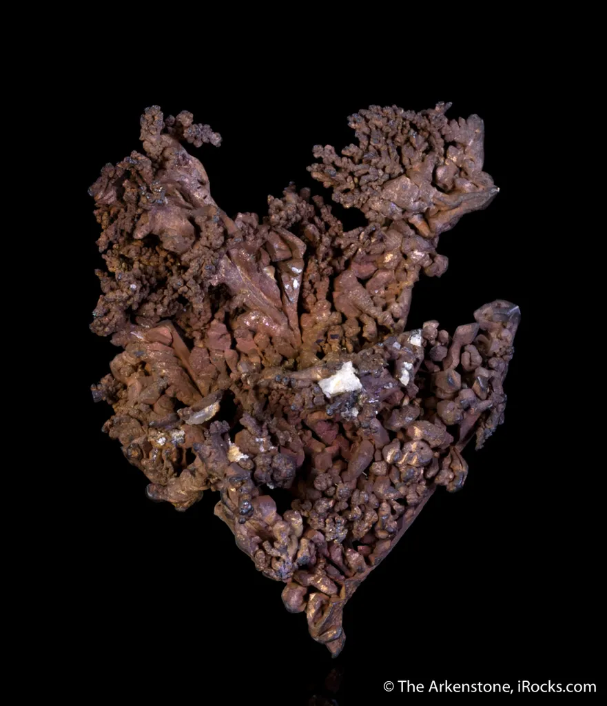 Copper - image 4
