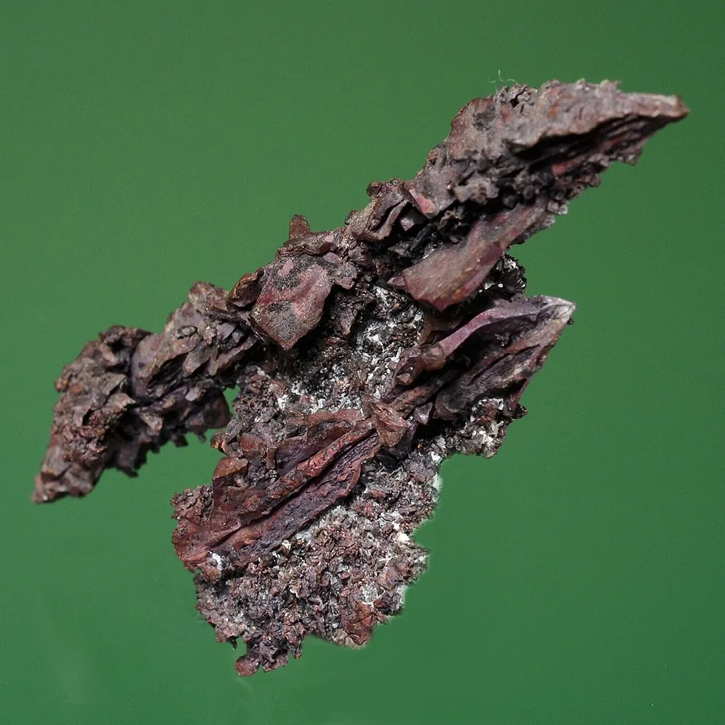 Copper - image 6