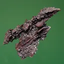 Copper - image 6