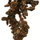 Copper - image 3