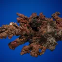 Copper - image 3