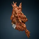 Copper - image 5