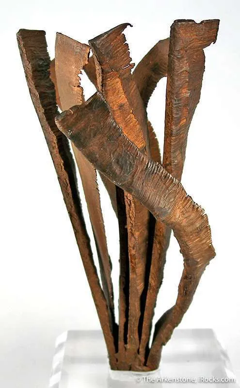 Copper "Feathers" (Miner Carving) image