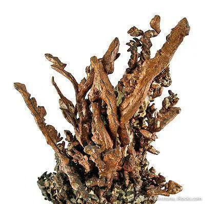 Copper "Fingers" - image 2