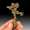 Copper from Bou Nahas mine, Oumjrane mining area, Drâa-Tafilalet Region, Morocco - image 1