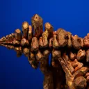 Copper from Chino Mine, near Bayard, Grant County, New Mexico, USA - image 2