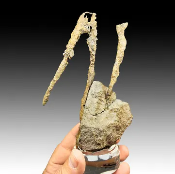 Copper from Copper Falls Mine, Eagle Harbor, Keweenaw County, Michigan, USA