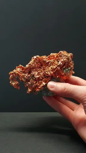 specimen video