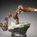 Copper from USA, Michigan, Keweenaw County - image 3