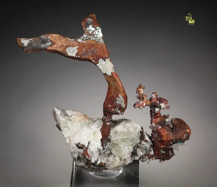 Copper from USA, Michigan, Keweenaw County image