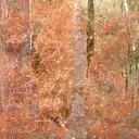 Copper, Gypsum - image 2