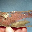 Copper, Gypsum - image 1