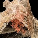 Copper, Gypsum (Var: Selenite) - image 2