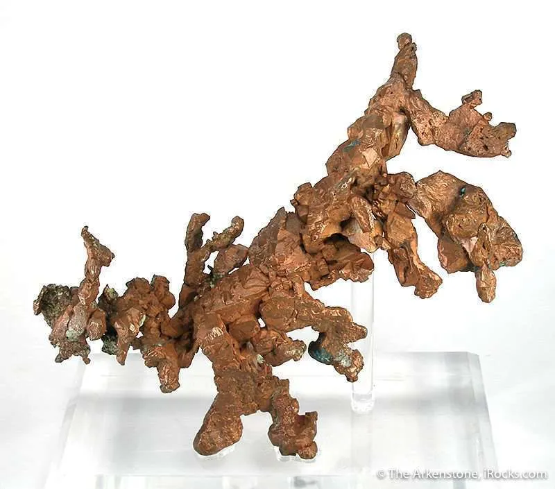 Copper "Lizard" image