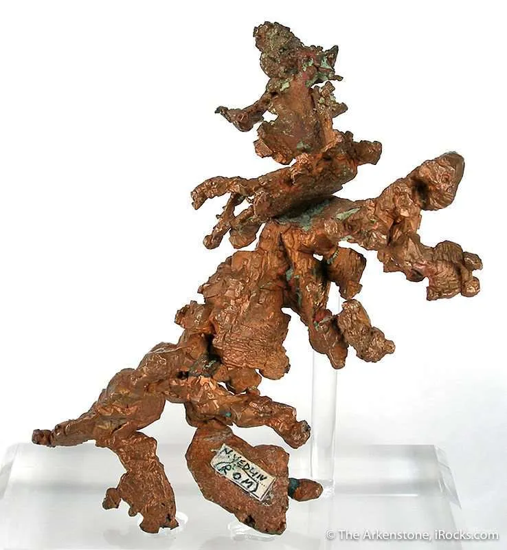 Copper "Lizard" - image 2