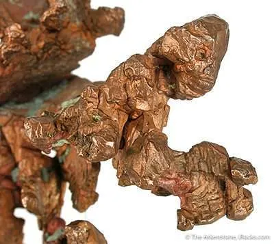 Copper "Lizard" - image 4