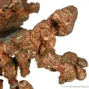 Copper "Lizard" - image 4