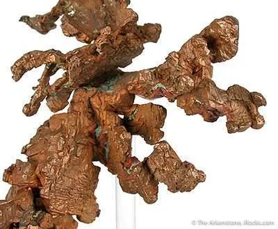 Copper "Lizard" - image 3