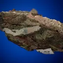 Copper on Silver - image 3