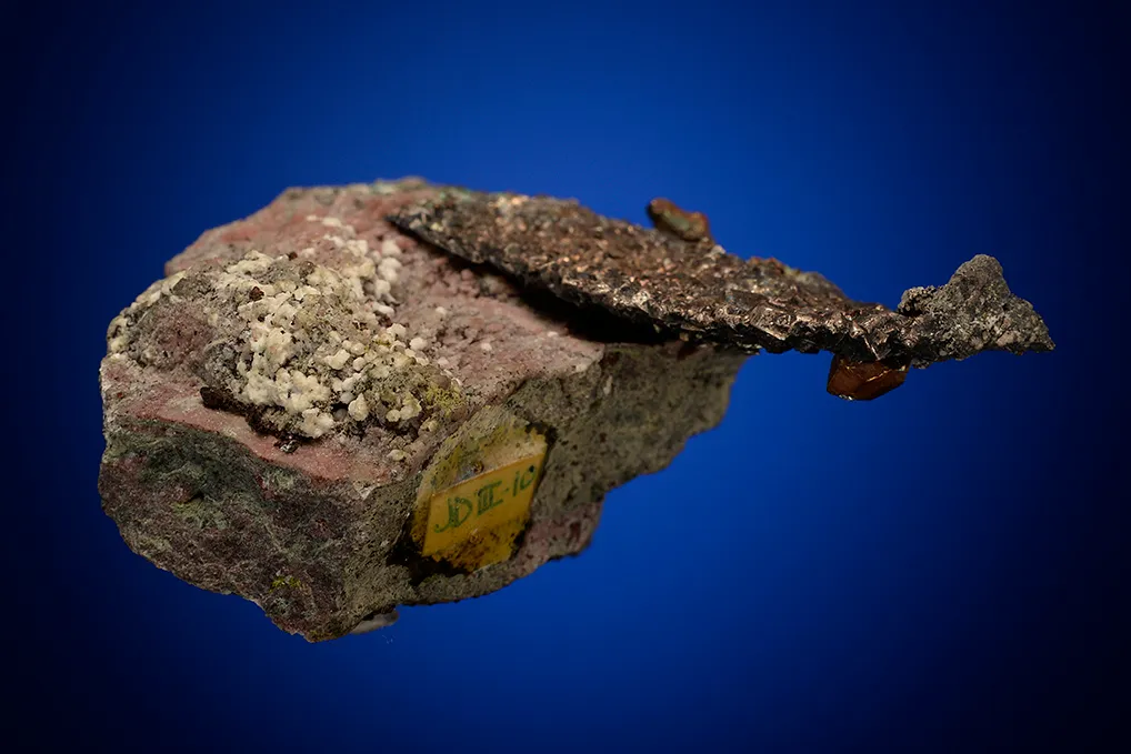 Copper on Silver - image 5