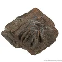 Copper ps. after Azurite - image 3