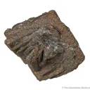 Copper ps. after Azurite - image 4