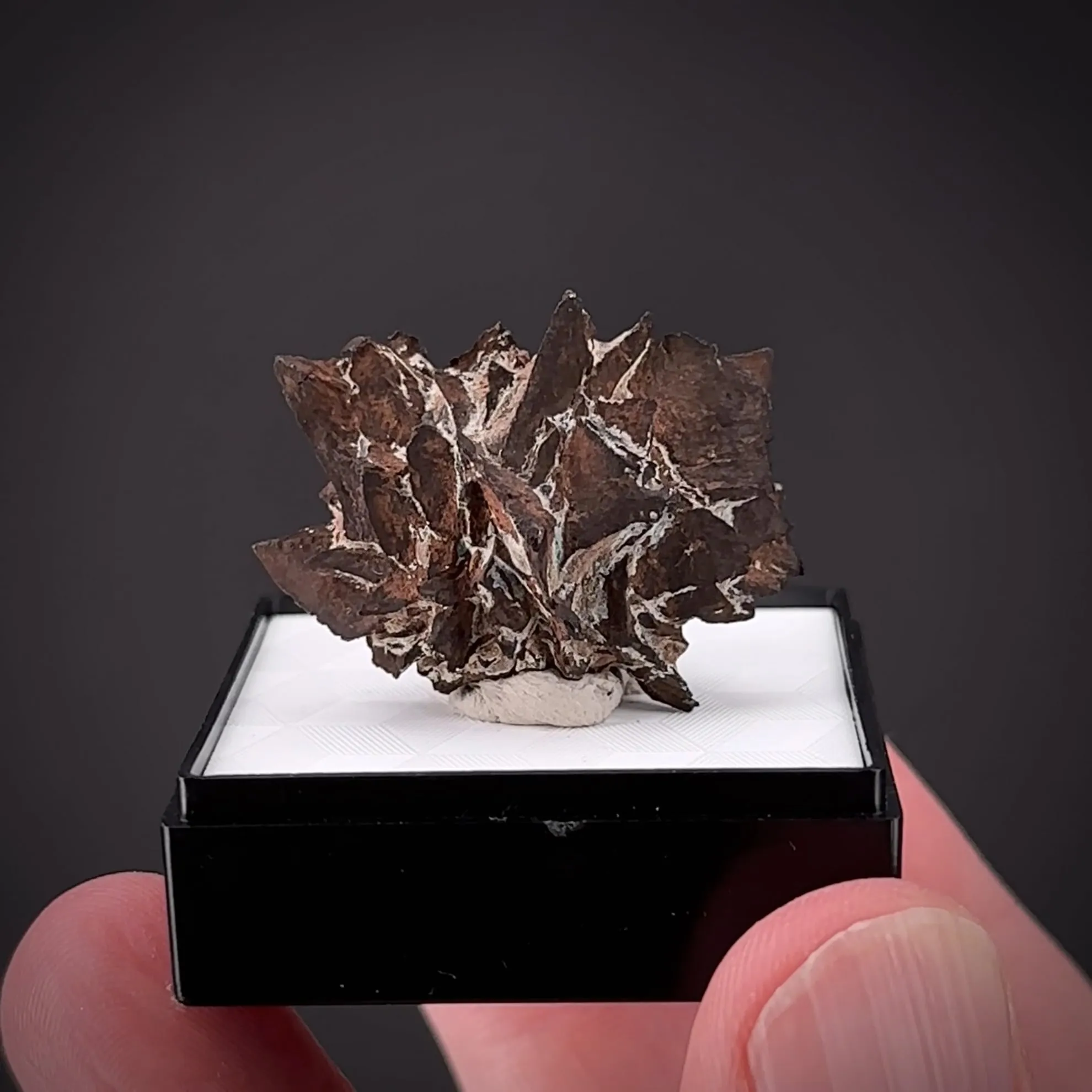 Copper ps. Azurite - image 1