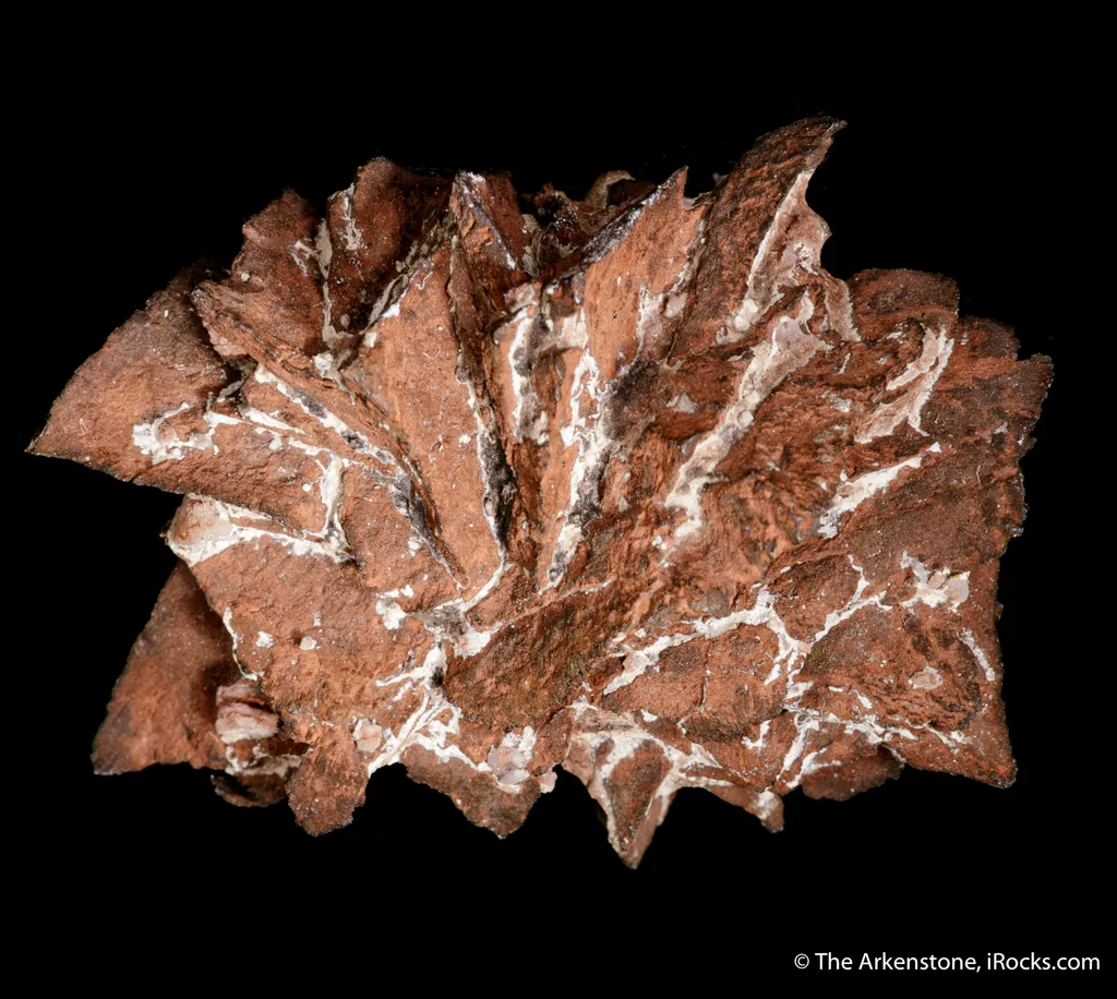 Copper ps. Azurite - image 4