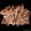 Copper ps. Azurite - image 4