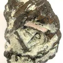 Copper Ps. Azurite (Ex Bmnh) - image 4
